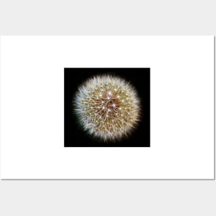 Twinkling Dandelion Clock(2) Posters and Art